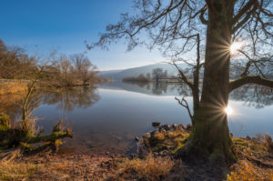 River Main at sunrise in winter, Bürgstadt, Miltenberg, Churfranken, Spessart, Franconia, Bavaria, Germany River Main at sunrise in winter, Bürgstadt, Miltenberg, Churfranken, Spessart, Franconia, Bavaria, Germany